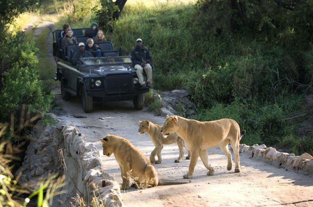 Lion Sands - Tinga Lodge Skukuza Extérieur photo