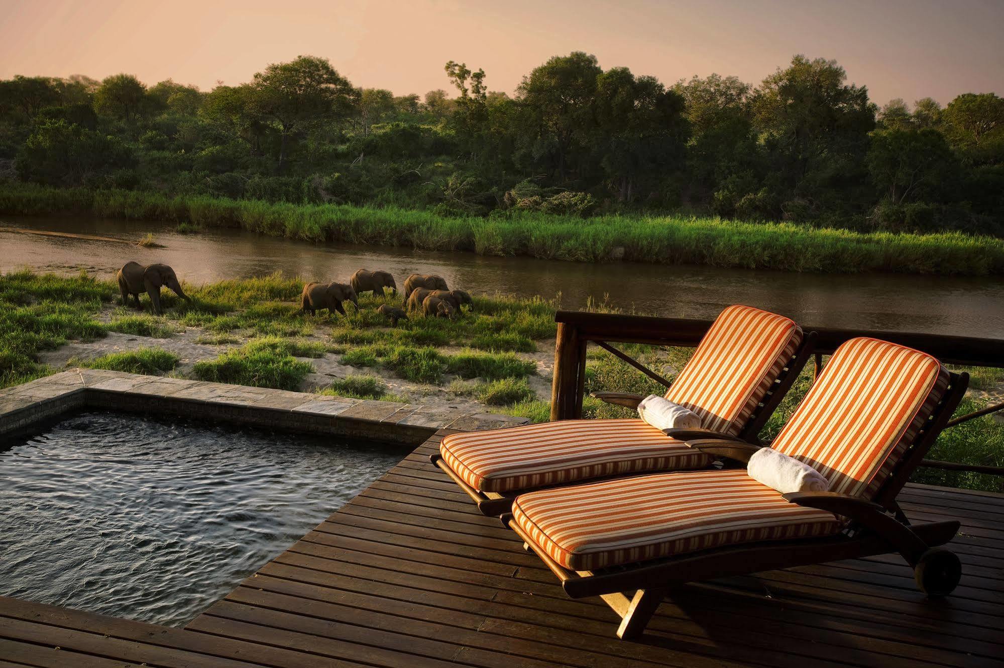 Lion Sands - Tinga Lodge Skukuza Extérieur photo