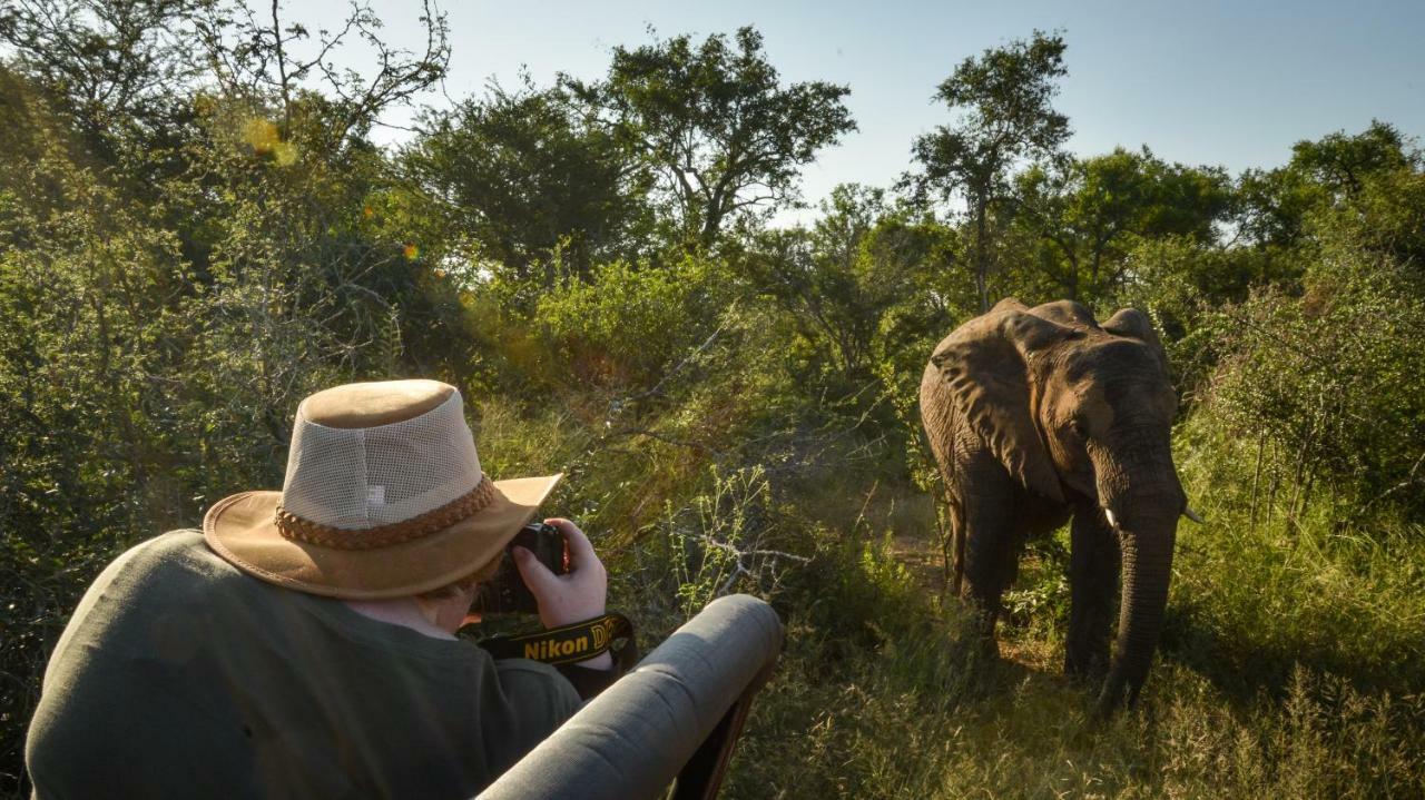 Lion Sands - Tinga Lodge Skukuza Extérieur photo